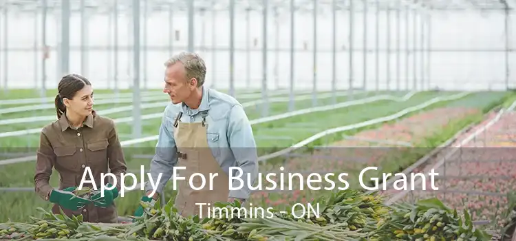 Apply For Business Grant Timmins - ON